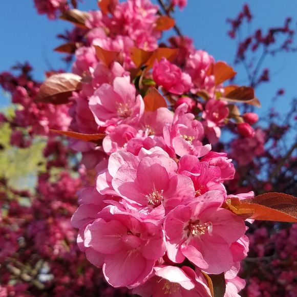 Meet your Posher, Selina - Picture 1 of 1